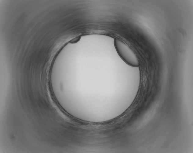 X0000115220049200911121933