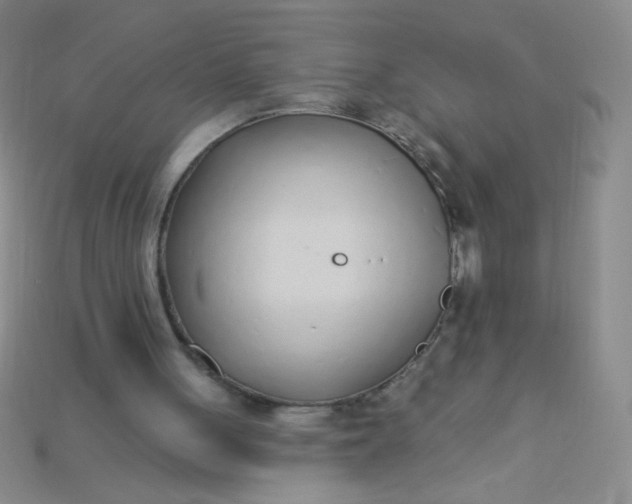 X0000115220051200911121933