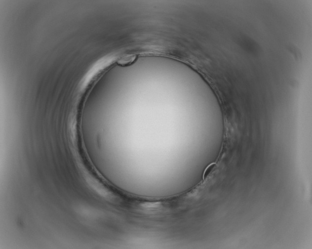 X0000115220054200911121933