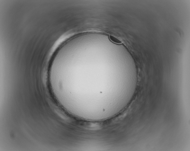 X0000115220056200911121933