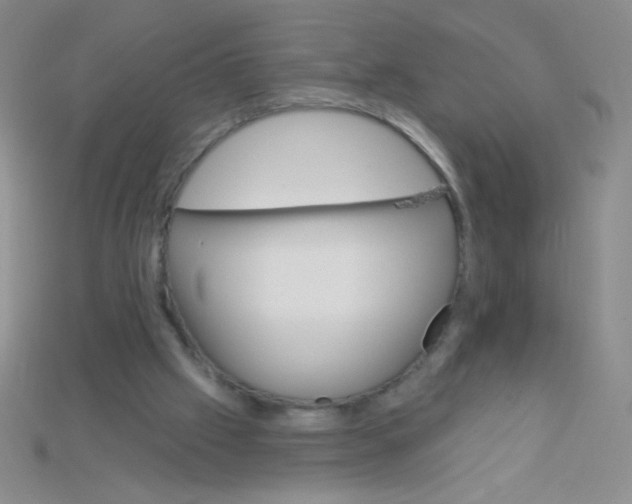 X0000115220057200911121933