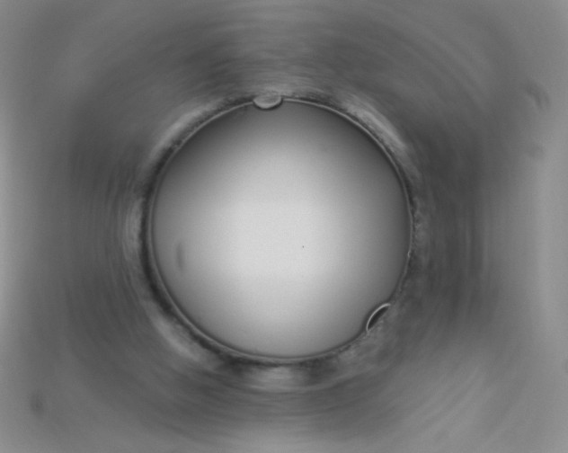 X0000115220058200911121933