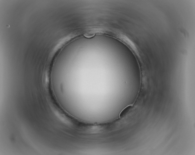 X0000115220059200911121933