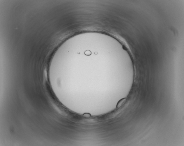 X0000115220061200911121933