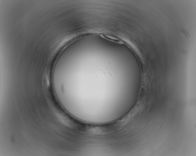 X0000115220062200911121933