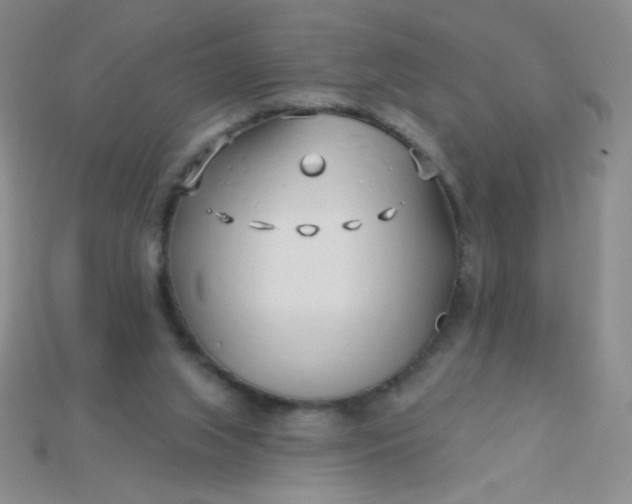 X0000115220063200911121933