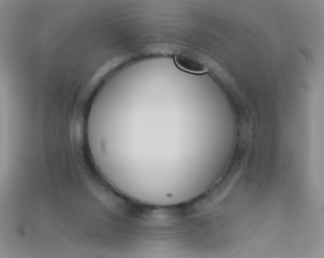 X0000115220064200911121933