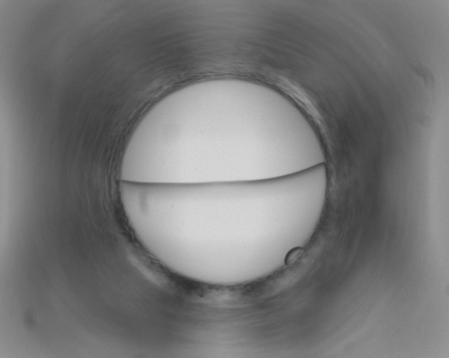 X0000115220065200911121933