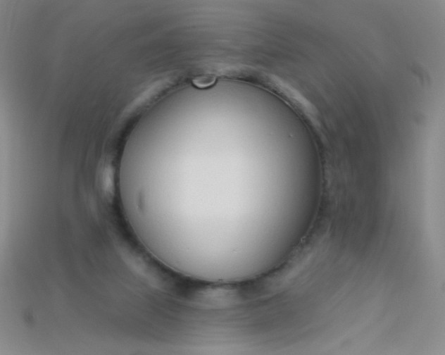 X0000115220067200911121933