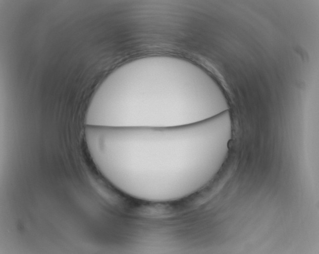 X0000115220069200911121933