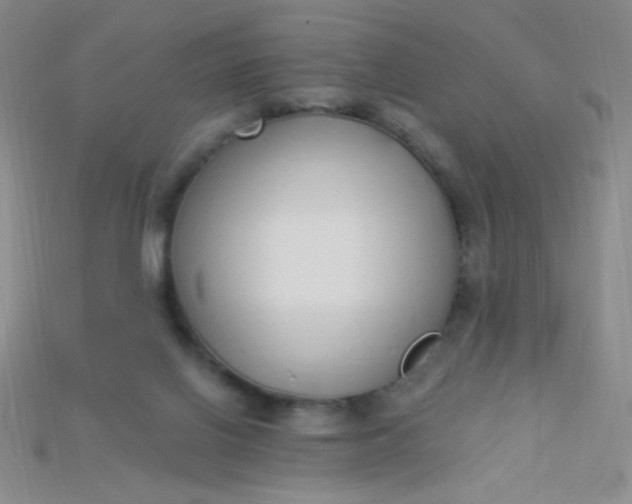 X0000115220070200911121933