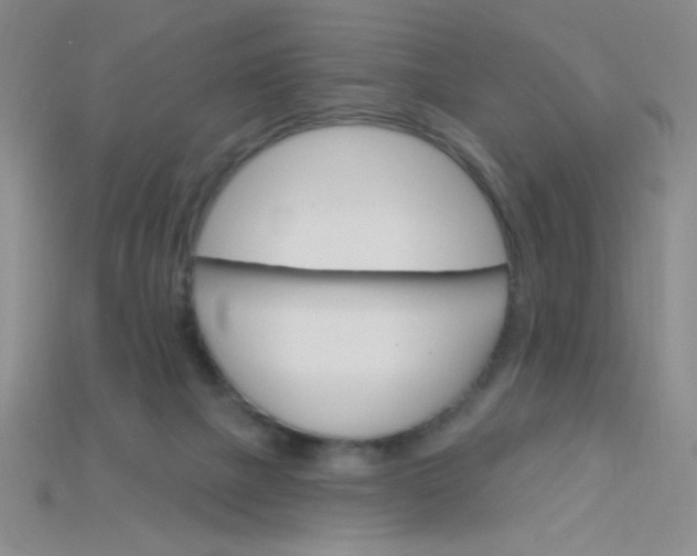 X0000115220073200911121933