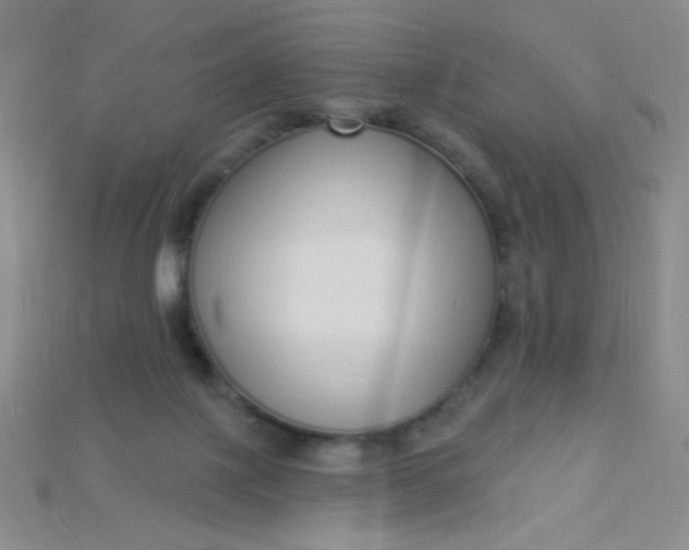 X0000115220075200911121933