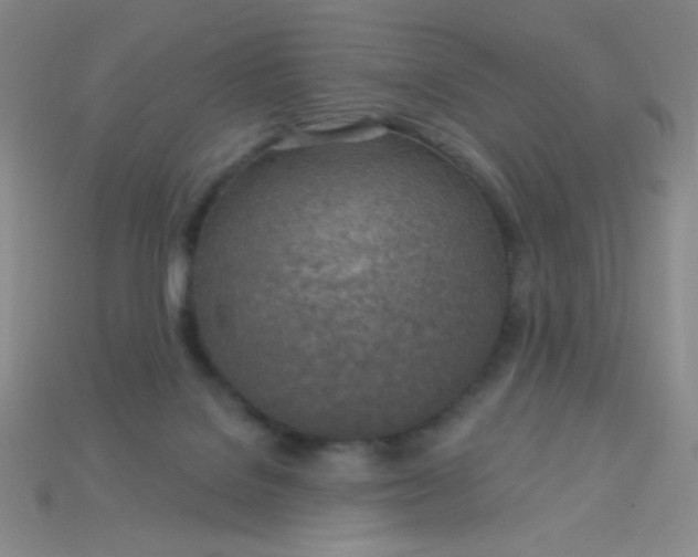 X0000115220076200911121933