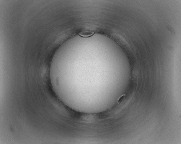 X0000115220079200911121933