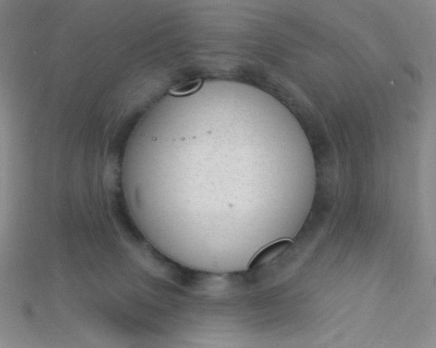 X0000115220083200911121933