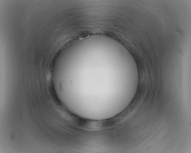 X0000115220084200911121933