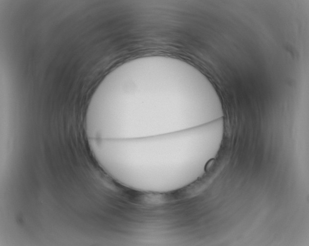 X0000115220085200911121933