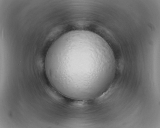 X0000115220086200911121933