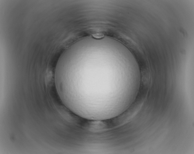 X0000115220087200911121933