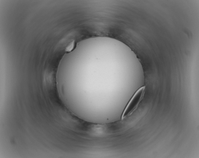 X0000115220088200911121933