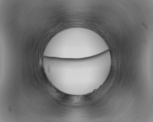 X0000115220089200911121933
