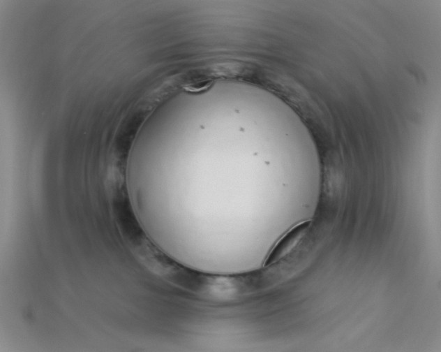 X0000115220091200911121933