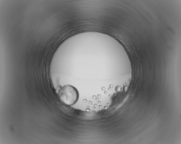 X0000115220093200911121933