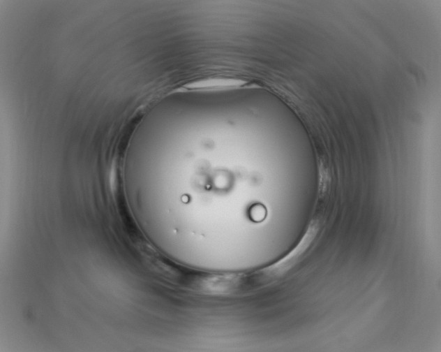 X0000115220094200911121933