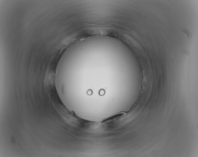 X0000115220096200911121933