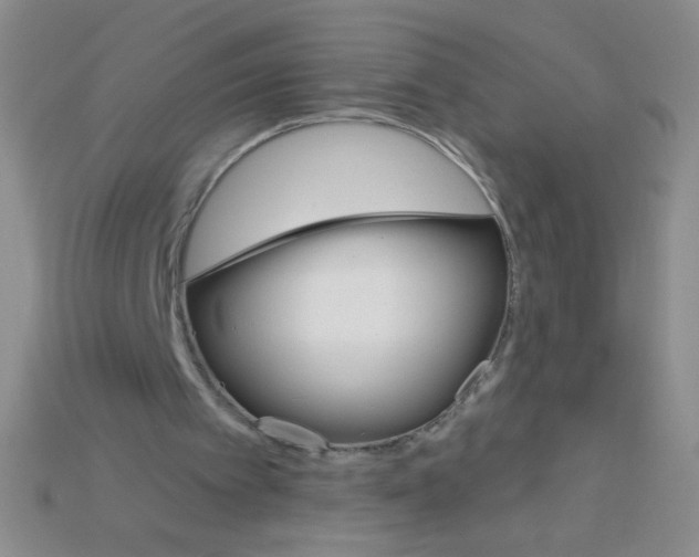 X0000115220097200911121933