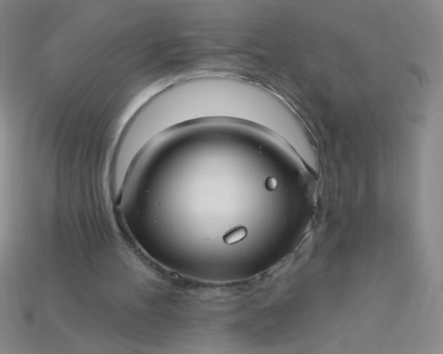 X0000115220100200911121933