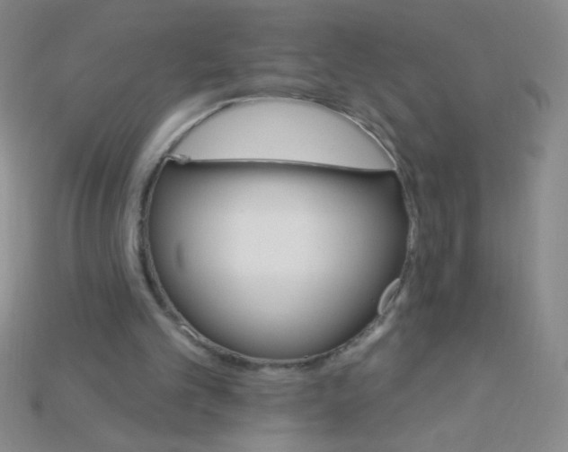 X0000115220101200911121933