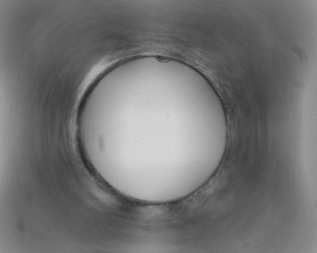 X0000115220102200911121933