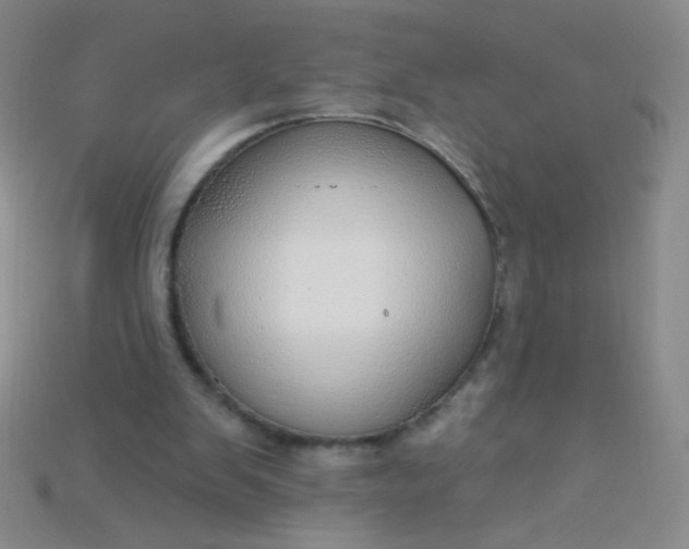 X0000115220103200911121933