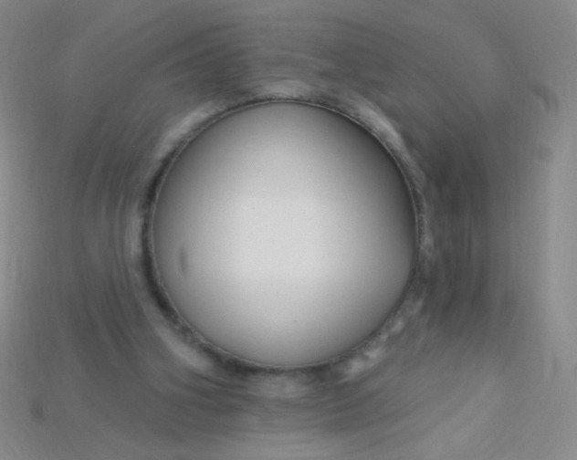X0000115220106200911121933