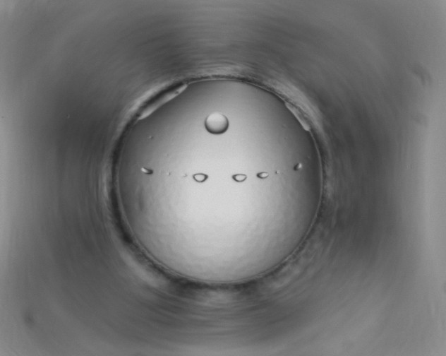 X0000115220107200911121933