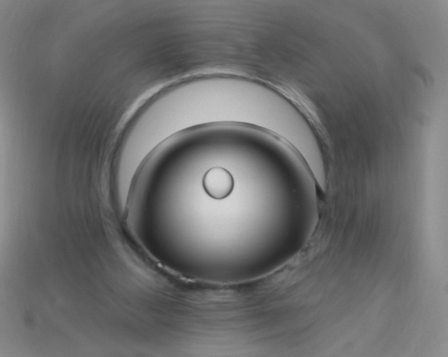 X0000115220108200911121932