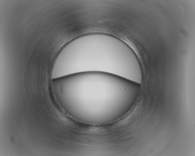 X0000115220109200911121932