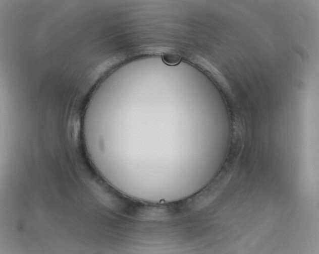 X0000115220110200911121932