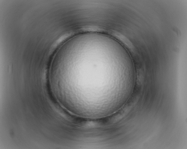 X0000115220111200911121932