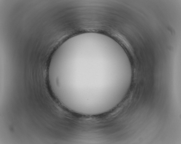 X0000115220113200911121932
