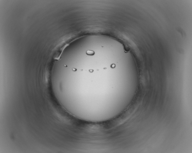 X0000115220115200911121932