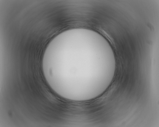 X0000115220117200911121932
