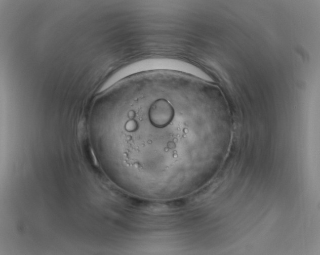 X0000115220123200911121932