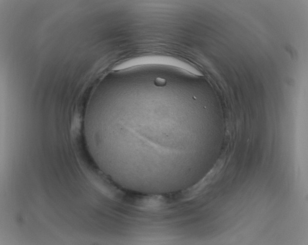 X0000115220124200911121932