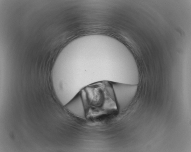 X0000115220125200911121932