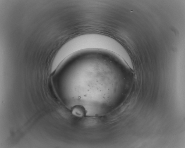 X0000115220127200911121932