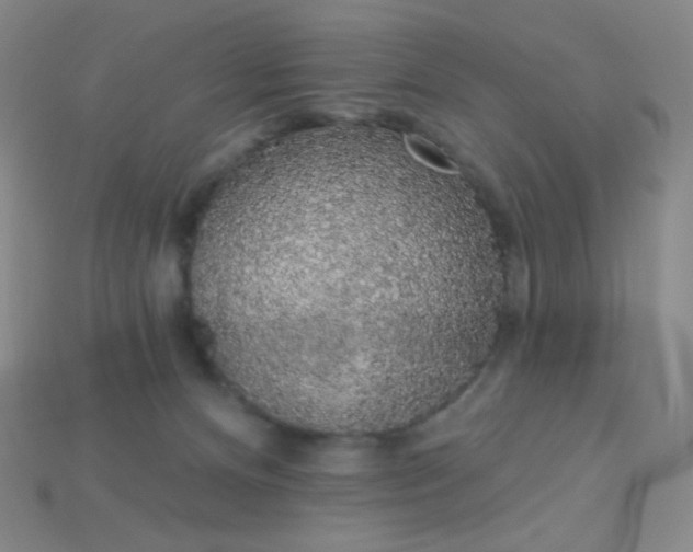 X0000115220128200911121932
