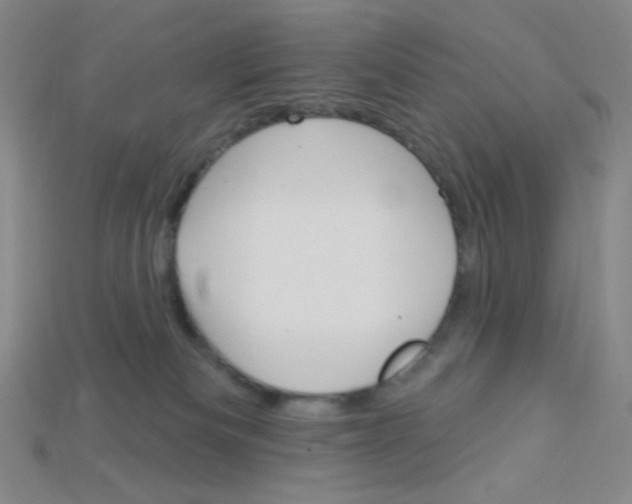 X0000115220133200911121932